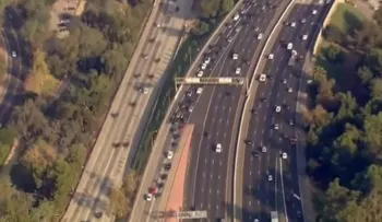 Un ganso imperturbable paraliza el tráfico de toda una carretera