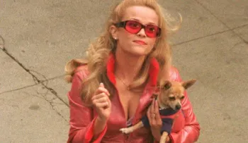 Murió el Chihuahua de "Legally Blonde"