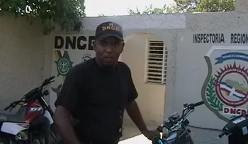 Haitianos son usados para cultivo de marihuana, dice presidente DNCD