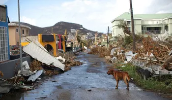  "Dominica ha sido devastada como Barbuda" 