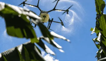Sector agropecuario dominicano demanda tecnología, formación y relevo generacional