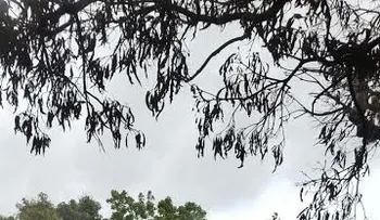 Incendio consume varias viviendas en sector de Puerto Plata