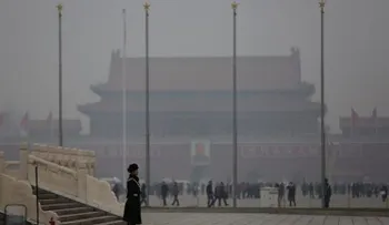 Mujer busca padres biológicos en China y 50 familias la reclaman