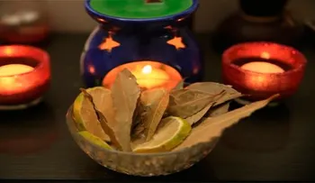 Pon esta planta en tu casa y tendrás dinero como nunca!