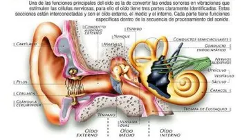 Manipularse los oídos puede provocar infecciones y otros daños a la salud, advierte especialista