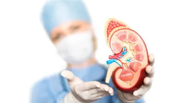 El 10% población mundial es afectada por enfermedad renal; en RD 4,262 pacientes reciben diálisis