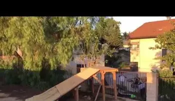 El salto fue demasiado grande y se oyen los quejidos...
