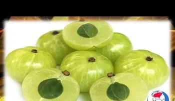 Amla (grosella espinosa india) beneficios y propiedades medicinales (VIDEO)