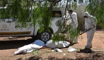 Macabro hallazgo en México: encuentran 13 cuerpos en 8 narcofosas en Zacatecas