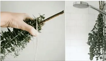 Ella colocaba eucalipto en la ducha y cuando supe la razón, yo también lo hago siempre