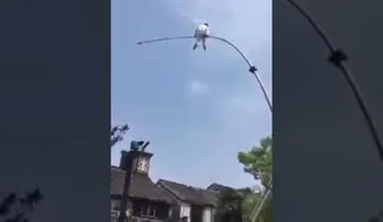 Un acróbata cae desde una pértiga de 8 metros