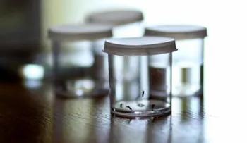 América ya tiene más de 134.000 casos de zika sospechosos y 2.765 confirmados