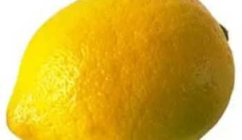 Mira como puedes prender una fogata con un limón... 