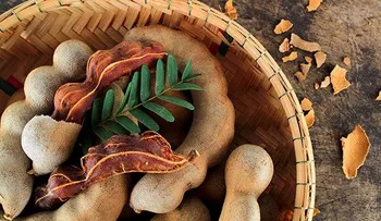 Revelan propiedades medicinales del Tamarindo