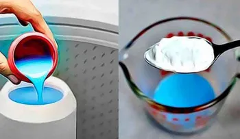 Tus vecinos te envidiaran por el olor agradable de tu casa con esta simple mezcla