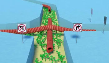 Crean una biocomputadora que consume menos energía a partir de un compuesto orgánico