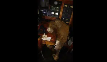 Encuentran un cadáver momificado en un yate alemán en Filipinas