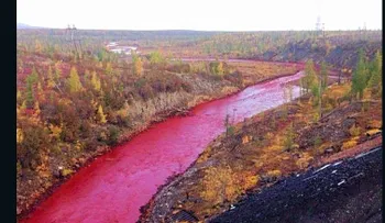 Resuelto el misterio del tono rojo de un río en Rusia