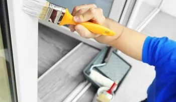  Lanzan pintura para combatir el mosquito Aedes aegypti 