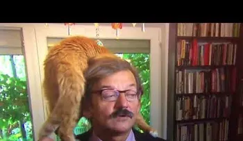 Un gato arruina la entrevista a un académico y se hace viral