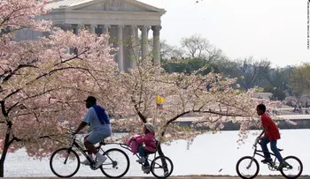 Las mejores ciudades para andar en bicicleta en Estados Unidos