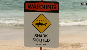Pánico en playas de Hawai por dos ataques de tiburón