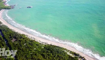 Vieques, un paraíso escondido en la cercana vecina isla de Puerto Rico