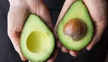No tires la semilla del aguacate a la basura; conozca sus beneficios