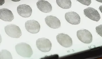 Hallan una sencilla forma de desbloquear los más modernos teléfonos inteligentes (VIDEO)