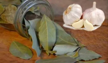 7 dientes de ajos y 7 hojas de laurel en una botella: Jamás pensé que fuera tan efectivo 