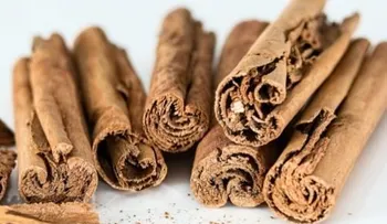 La canela puede añadirla en tu dieta con té, pasteles, crema catalana y salsa: conoce sus sorprendentes beneficios