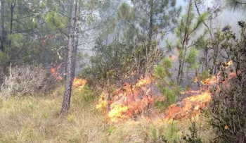 Incendio forestal en Valle Nuevo continúa fuera de control