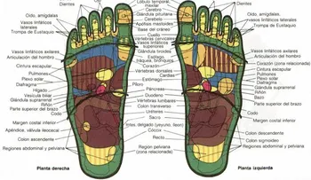 Masaje en los pies o reflexoterapia