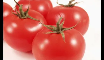 Los 10 alimentos más cancerígenos para que se proteja contra esta terrible enfermedad