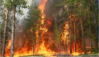 Dirección Valle Nuevo se suma a labores para sofocar incendio