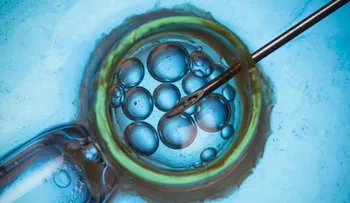 Escándalo en España: dos niños quedaron sin padre por un error en la fertilización in vitro