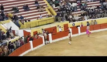 La cornada que dejó sin vida a un torero en Portugal