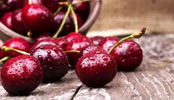 Las cerezas son una fuente natural de fibra y ácido fólico y tienen un gran poder antioxidante