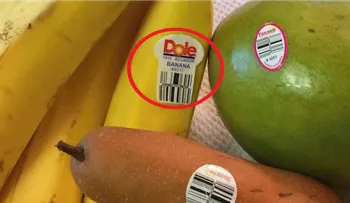  Me quedé en shock cuando descubrí el significado de las pegatinas en la fruta. ¡Hasta ahora pensaba que era un detalle irrelevante!