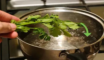 Uso cilantro en mi agua diariamente para ahorrarme un montón de dinero...