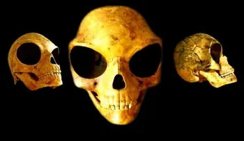 ¿Pertenece a un extraterrestre la extraña calavera hallada en Dinamarca? (VIDEO)