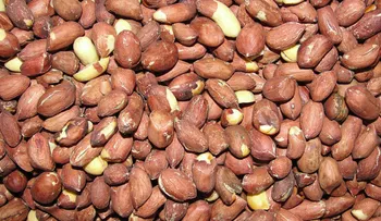 Un "superalimento" precolombino, la inesperada arma para luchar contra la desnutrición