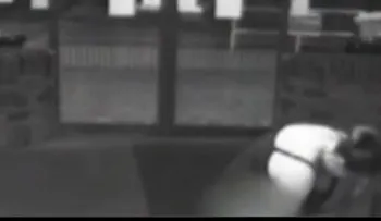 Un parto inesperado: mientras su marido estacionaba su automóvil