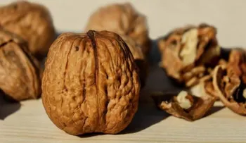 Alimentos para fortalecer tu pelo, piel y uñas