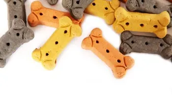 Galletas y dulces para perros: qué debes saber