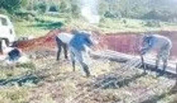 CAASD limpiará cañada El Arrozal y reforzará redes