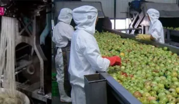 Alimentos chinos llenos de químicos que provocan cáncer