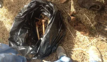 Hallan osamenta humana en Santiago y causa pánico