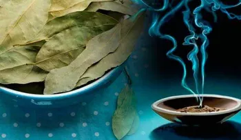 Laurel: un remedio milenario efectivo contra la ansiedad