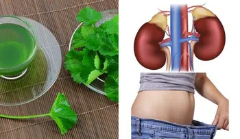 Remedio para eliminar lo que comiste en el día y desintoxicar el cuerpo